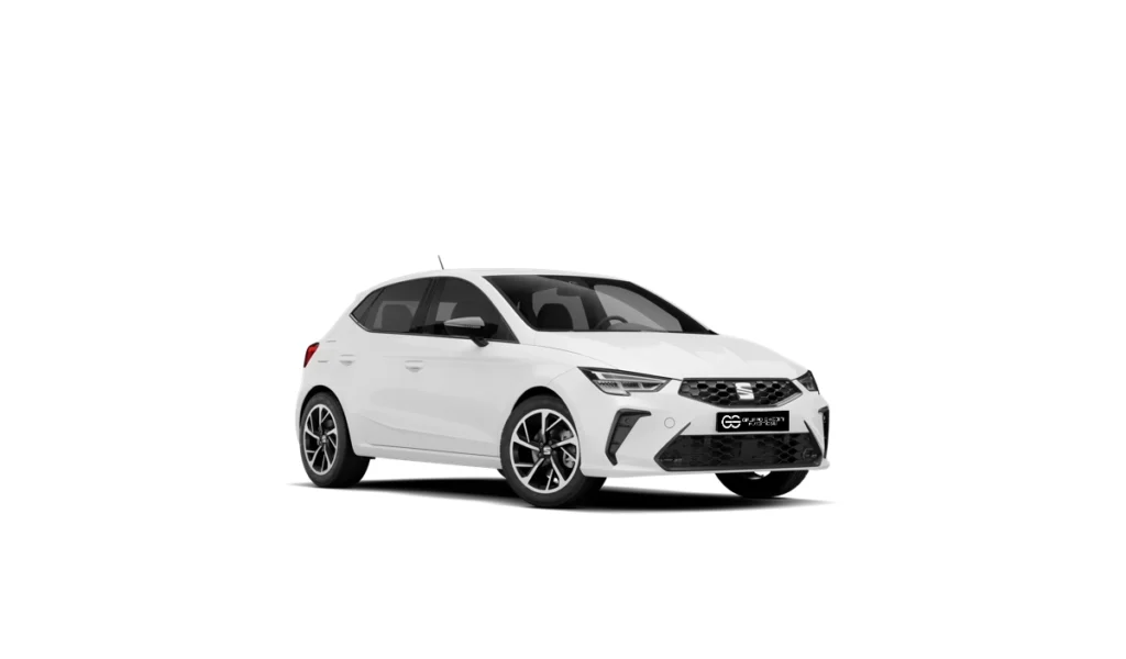 Seat Ibiza Noleggio Lungo Termine Bologna