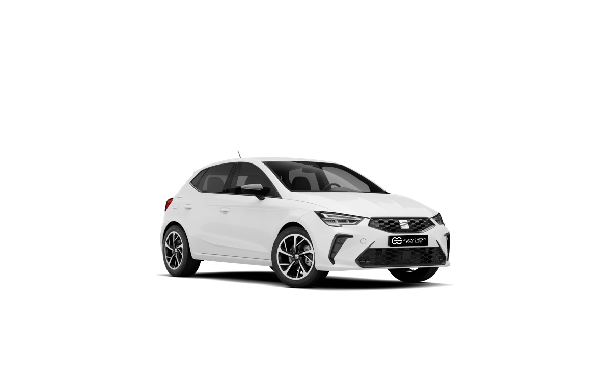 Seat Ibiza Noleggio Lungo Termine Bologna